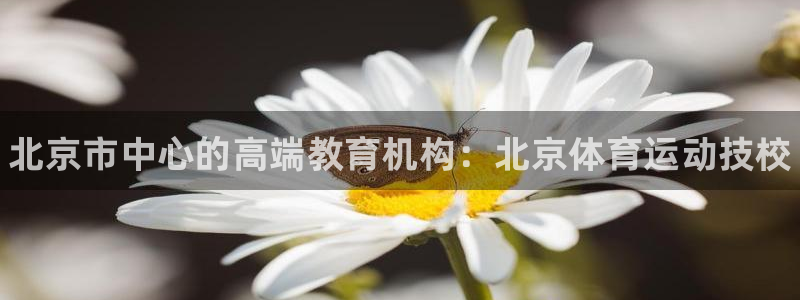 哈哈体育十年：北京市中心的高端教育机构：北京体育运动技校